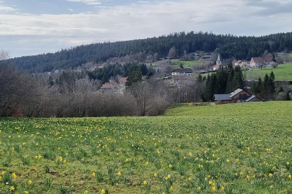 Le Grenier De Jules Et Marguerite Villa Liezey Bagian luar foto